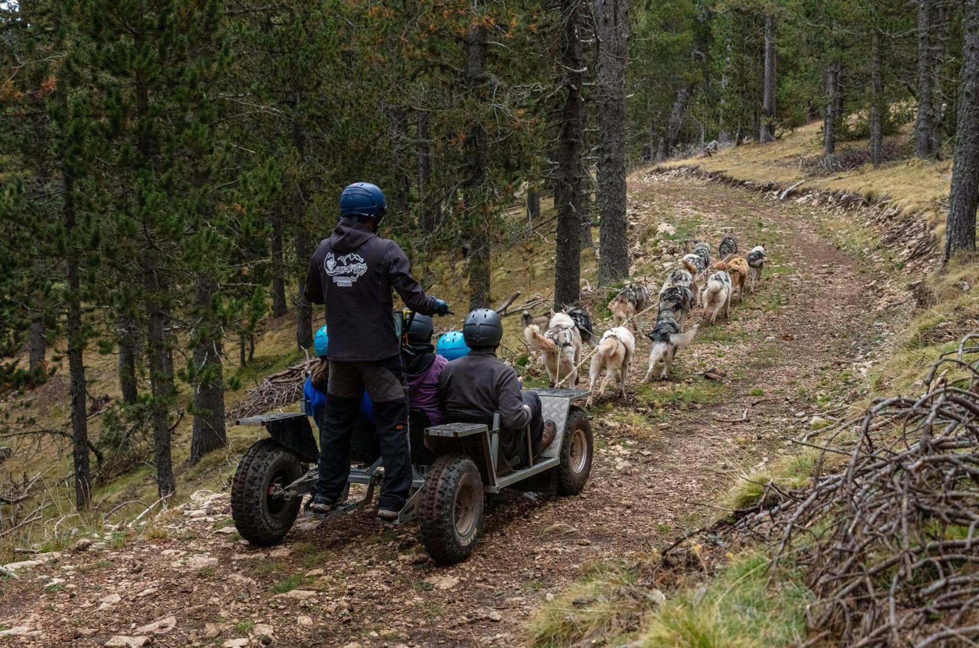 Refugi De L'Arp Hostel Montargull de la Vansa Bagian luar foto